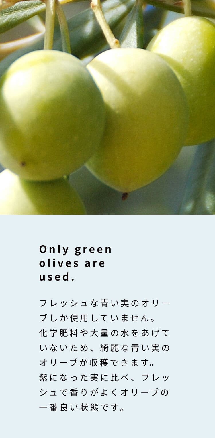 フレッシュな青い実のオリーブしか使用していません。化学肥料や大量の水をあげていないため、綺麗な青い実のオリーブが収穫できます。紫になった実に比べ、フレッシュで香りがよくオリーブの一番良い状態です。